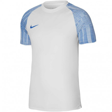 Nike meeste särk Dri-FIT Academy JSY SS DH8031 102 S, valge-sinine