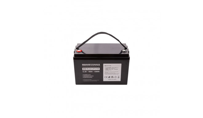 Battery Lithium Iron Phosphate LiFePO4 12.8V, 100Ah