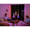 Philips Hue Lightguide Globe smart bulb, E27, G95