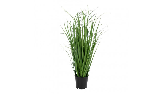 Kunsttaim Poa H68 cm
