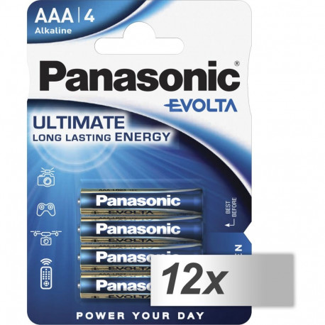 12x4 Panasonic Evolta LR 03 micro sisekarp