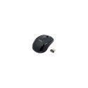 Logilink | Maus optisch Funk 2.4 GHz | 2.4GH wireless mini mouse with autolink | wireless | Black