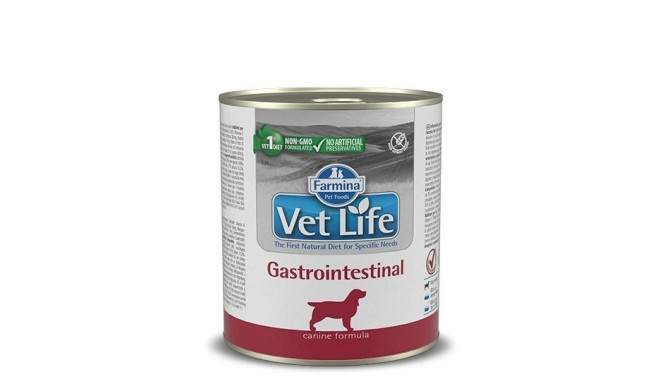 Farmina Vet Life Diet DOG Gastrointestinal 300 g