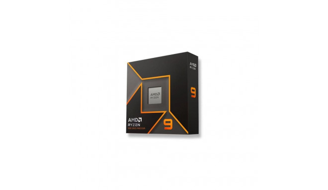 Protsessor AMD AMD Ryzen R9-9900X
