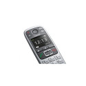 "Gigaset E560 platin int."