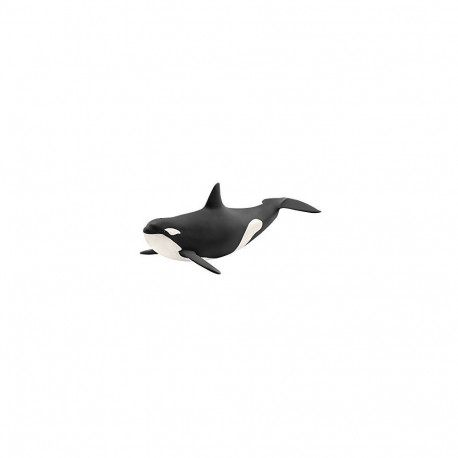 Wild Life Orka