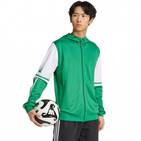 Adidas meeste pusa Squadra 25 Hoody JP3164 M, roheline-valge