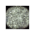 Microscope Levenhuk Rainbow 50L PLUS Moonstone 64x–1280x with experimental kit K50