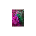 SmokeGENIE Handheld Professional Smoke Machine Starter Kit