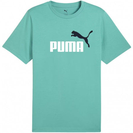Puma meeste t-särk Ess 2 Color No.1 Logo 684708 59 L, mündiroheline