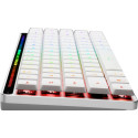 "Asus Tastatur ROG Falchion RX LP RL Gaming Tastatur Swiss"