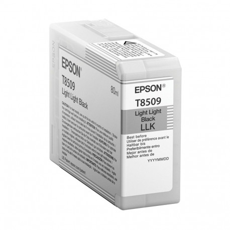 "Epson C13T850900 light black"
