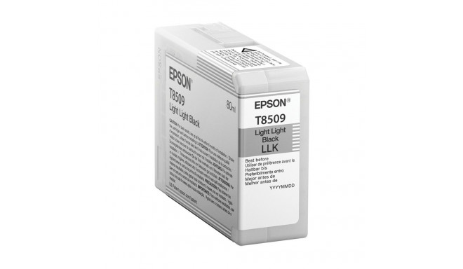 "Epson C13T850900 light black"