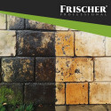 Frischer fassaadipuhastusvahend 5l
