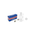Car bulb 12V 5W SV8,5 10x31