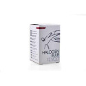 Autopirn MTECZ48 M-Tech Z48 R2 Halogeen 12 V