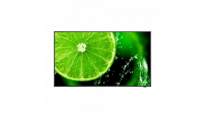Monitor LCD NEC 60005045 IPS Direct-LED 42,5" 42,5"