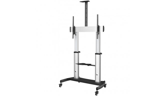 Televiisori Alus Startech STNDMTV100 100"