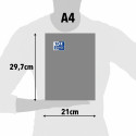 Gredzenveida stiprinājums Oxford EUROPEANBINDER Daudzkrāsains A4+ (10 gb.)