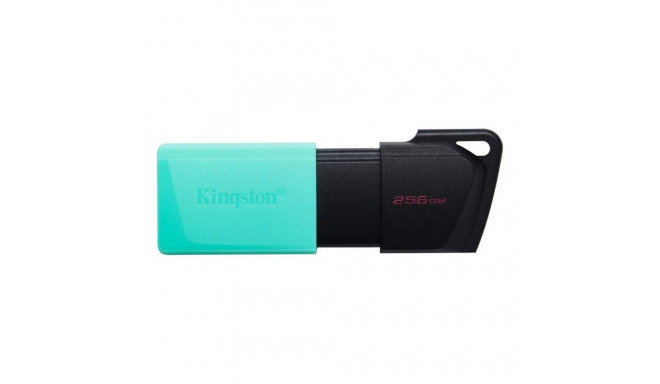 Kingston MEMORY DRIVE FLASH USB3.2/64GB DTXM/64GB