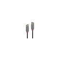 LINDY CABLE USB2 TYPE A 3M/ANTHRA 36704