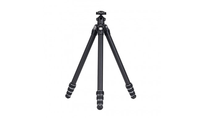 Falcam TreeRoot Quick Lock Lite Tripod T00A4903
