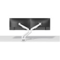 "Neomounts DS70-250WH2 Tischhalterung für 2 Monitore bis 81cm 32"" 9KG Weiß"