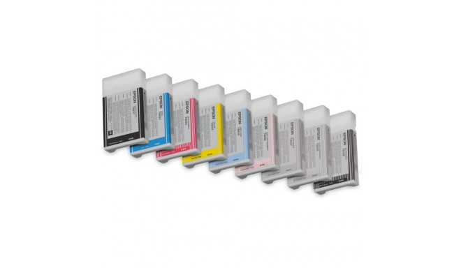 "Epson C13T603900 light black"