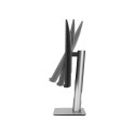 "ASUS ProArt PA248CRV 61.13cm (16:10) WUXGA HDMI DP"