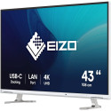 "EIZO 108cm (42.5"") EV4340X-WT 16:09 4K 2xHDMI+DP+USB-C IPS"