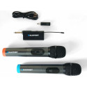 mikrofon Blaupunkt WM60UDB