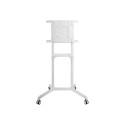 NS-M1250WHITE valge NewStar