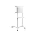 NS-M1250WHITE valge NewStar