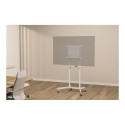 NS-M1250WHITE valge NewStar