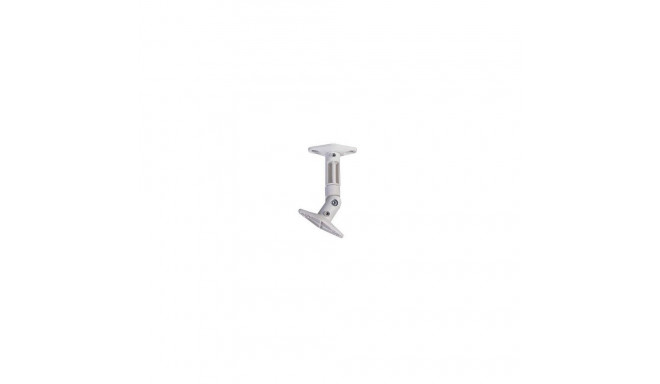 SPEAKER ACC kinnitus valge/SPEAKER-W100 NEWSTAR