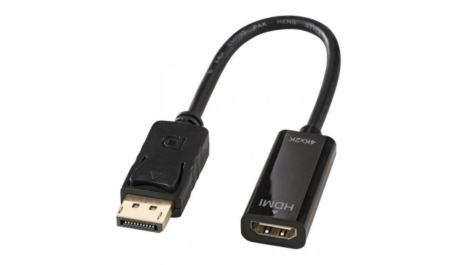 Lindy videoadapter 41718 - DisplayPort / HDMI - 15 cm