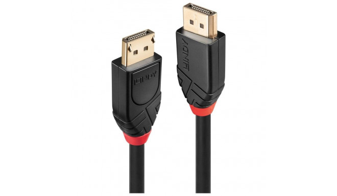 Lindy 10m Active DisplayPort 1.2