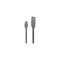Lindy USB 3.1 kaabel Typ A/C 5A PD Anthra Line M/M 0.5m