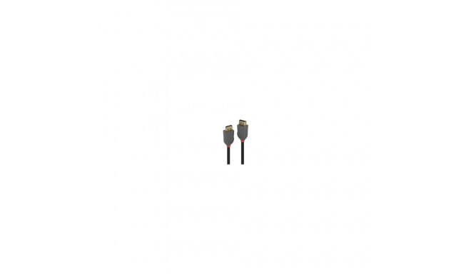Lindy DisplayPort Cable. M/M. Anthra Line. 10m Array