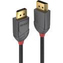 Lindy Anthra Line DisplayPort-kaabel DisplayPortist DisplayPorti 2 m