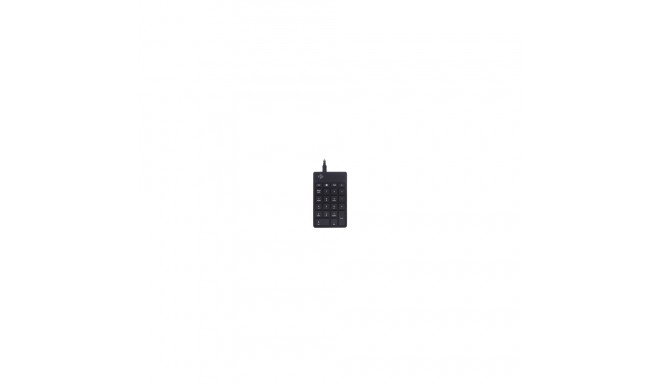 R-Go Numpad Break numeric keypad, wireless, black