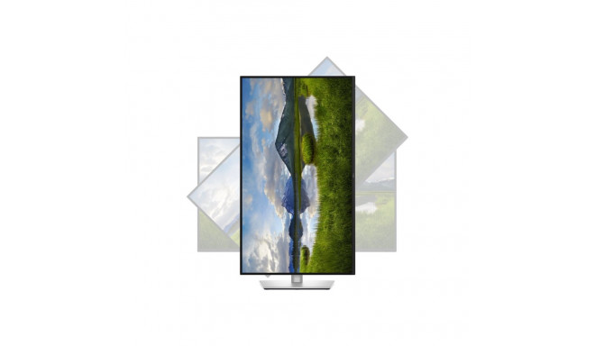 Dell P3225DE 32" IPS 100 Hz 5 ms 2560 x 1440 pikslit 350 cd/m² HDMI-pordi arv 1