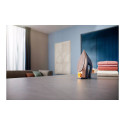 Philips DST8050/20 sirgendaja