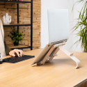 R-Go Tools sülearvuti ja tahvelarvuti alus R-Go Treepod, ergonoomiline ja modulaarne, reguleeritav, 