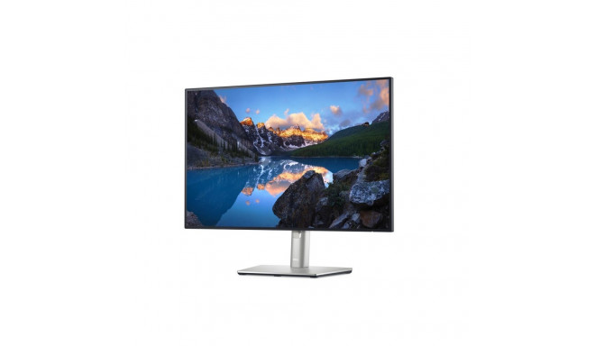 DELL UltraSharp U2421E LED-ekraan 61,2 cm (24,1") 1920 x 1200 pikslit WUXGA LCD hõbedane