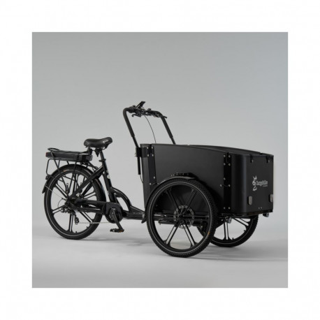 Elektriline kastiratas CARGOBIKE of SWEDEN Flex
