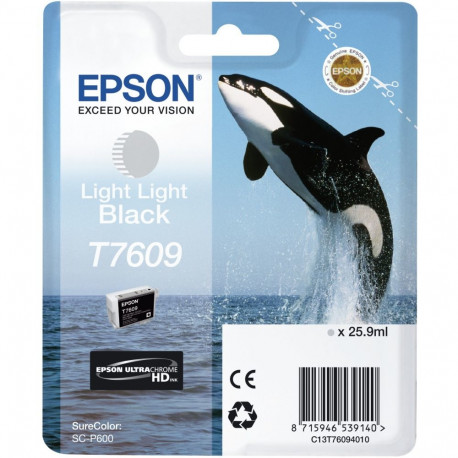 "Epson C13T76094010 light black"
