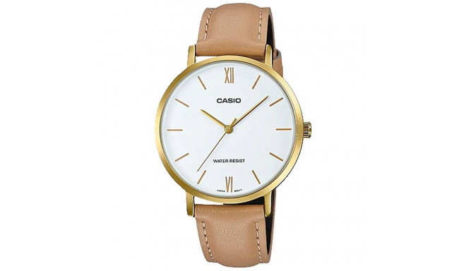 Casio naiste käekell LTP-VT01GL-7B + karp (zd634b)