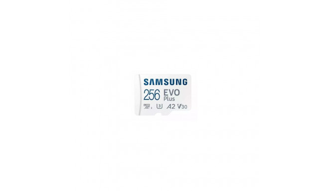 Samsung Evo Plus 256 GB MicroSDXC UHS-I Class 10 memory card