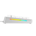 Glorious Gaming GMMK 3 PRO 75% eelkokkupandud juhtmega hõbedane – US